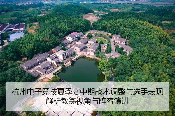 杭州电子竞技夏季赛中期战术调整与选手表现解析教练视角与阵容演进